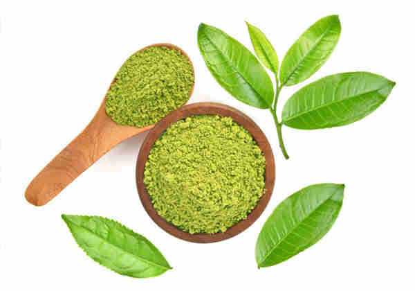 绿茶提取物可以帮助对抗肺纤维化吗？
