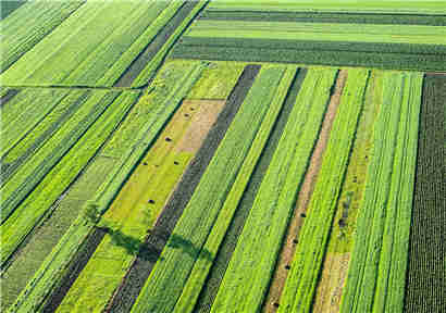 宁夏积极推动农业生态绿色发展