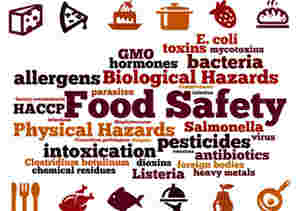 预防食源性传染病并实施食品安全检查