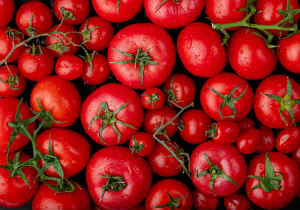 尼日利亚的番茄产量超过供应量