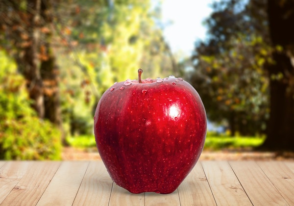 苹果皮提取物可以治疗多发性硬化症