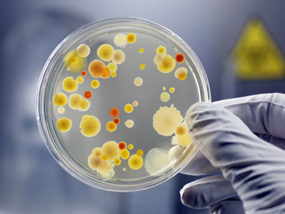 £500,000赠款可能会导致一种新型的抗击超级细菌的抗生素