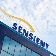 Sensient宣布出售其酸奶水果制品产品线