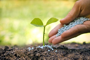 国家肥料报告称肥料销售和产量猛增