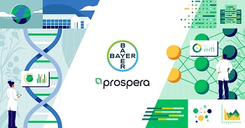 拜耳与Prospera Technologies合作为蔬菜种植者开发AI数据领导的解决方案